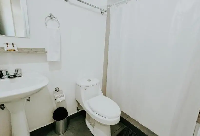 اتاق استاندارد, La Ruta Hotel Corporativo
