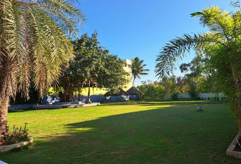 豪华房间, Art Resort & Farm House