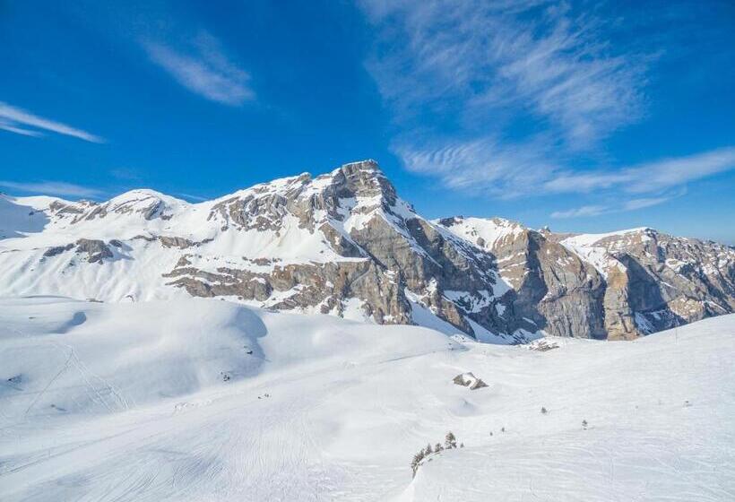 Номер Стандарт Вид на Горы, Frutt Living