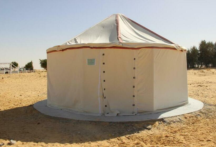 سوییت سوپریور, Shahrazad Camp In White Desert, Egypt