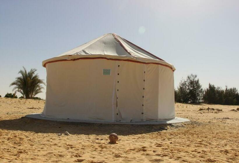 اتاق سوپریور, Shahrazad Camp In White Desert, Egypt