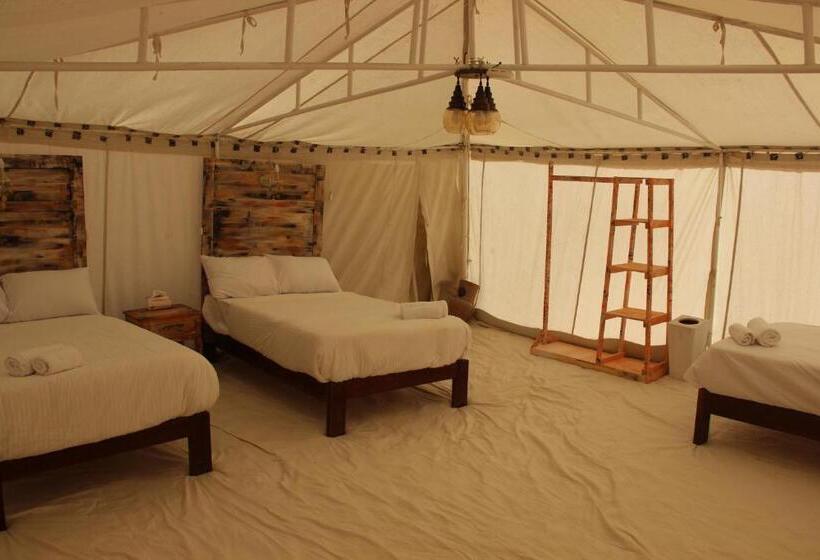 اتاق لوکس, Shahrazad Camp In White Desert, Egypt