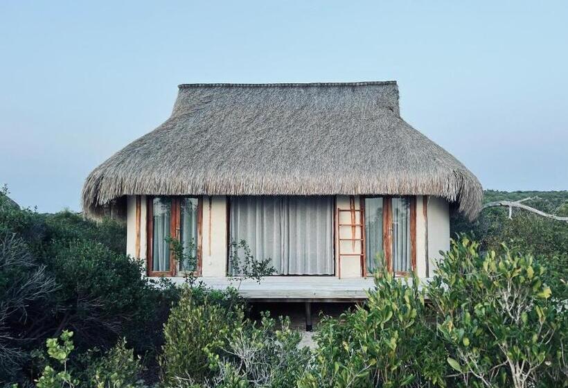 サイドオーシャンビュースタンダードルーム, Zenguelemo Lodge