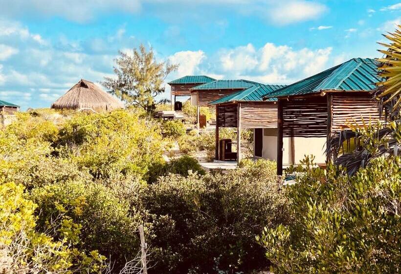 스탠다드 룸 측면 바다 전망, Zenguelemo Lodge