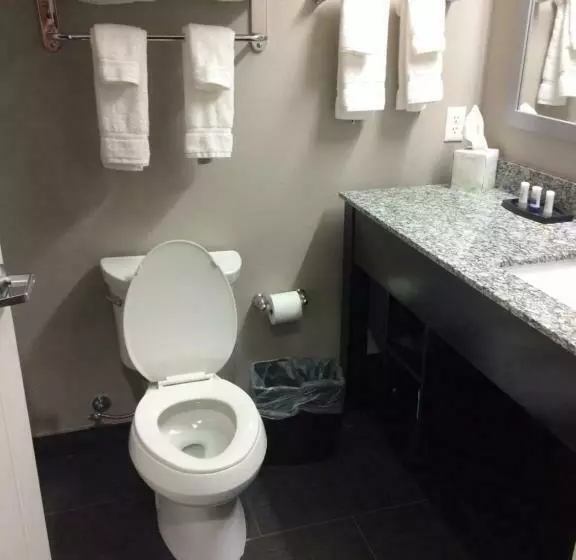 デラックスルーム, Best Western Plus Dilley Inn & Suites