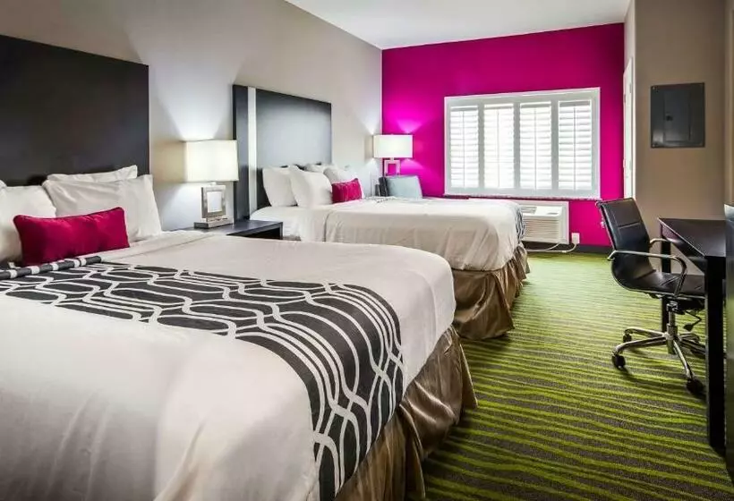 デラックスルーム, Best Western Plus Dilley Inn & Suites