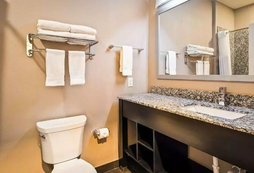 デラックスルーム, Best Western Plus Dilley Inn & Suites