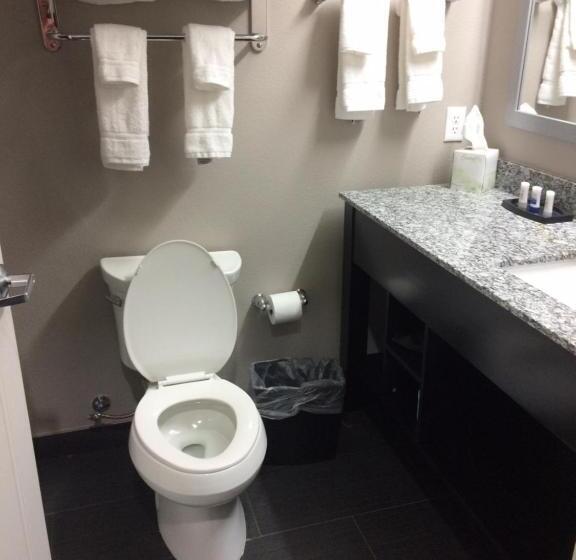 جناح سرير كينج, Best Western Plus Dilley Inn & Suites