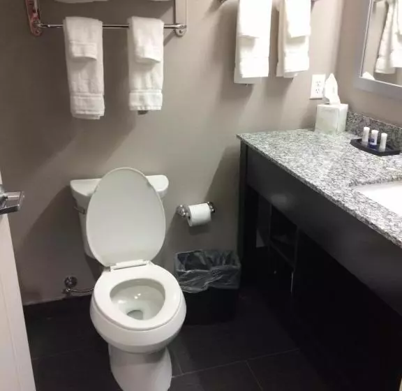 キングサイズベッドのスイートルーム, Best Western Plus Dilley Inn & Suites