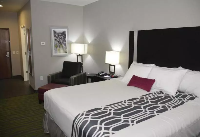 キングサイズベッドのスタンダードルーム, Best Western Plus Dilley Inn & Suites