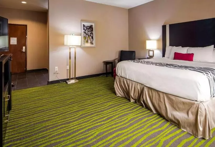身障者適用キングサイズベッドルーム, Best Western Plus Dilley Inn & Suites