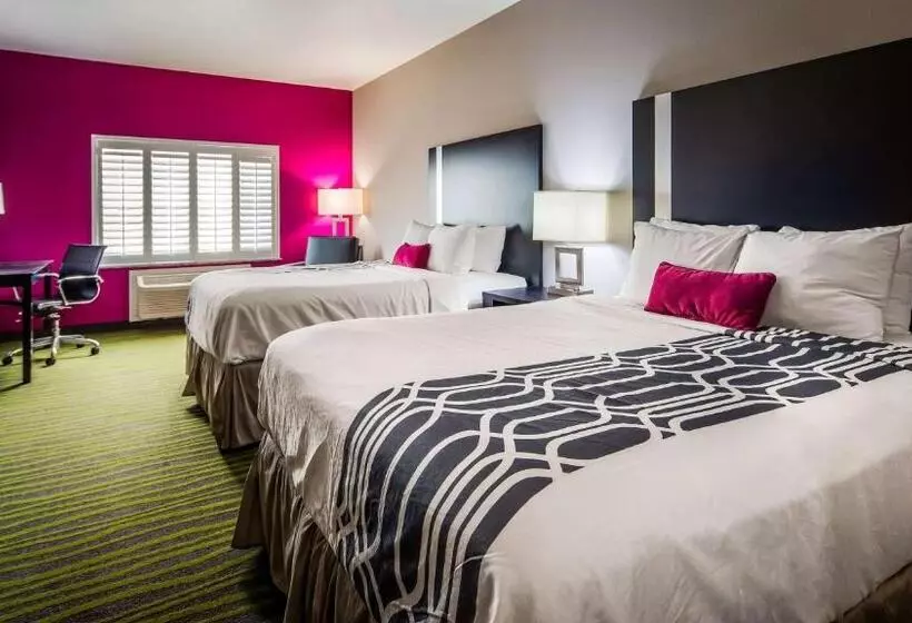身障者適用スタンダードルーム, Best Western Plus Dilley Inn & Suites