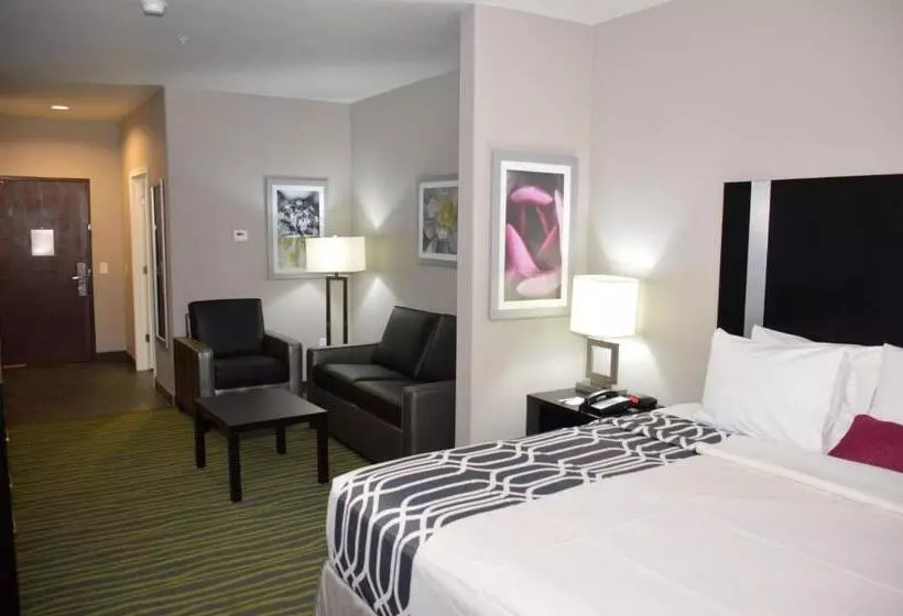 身障者適用スイートルーム, Best Western Plus Dilley Inn & Suites