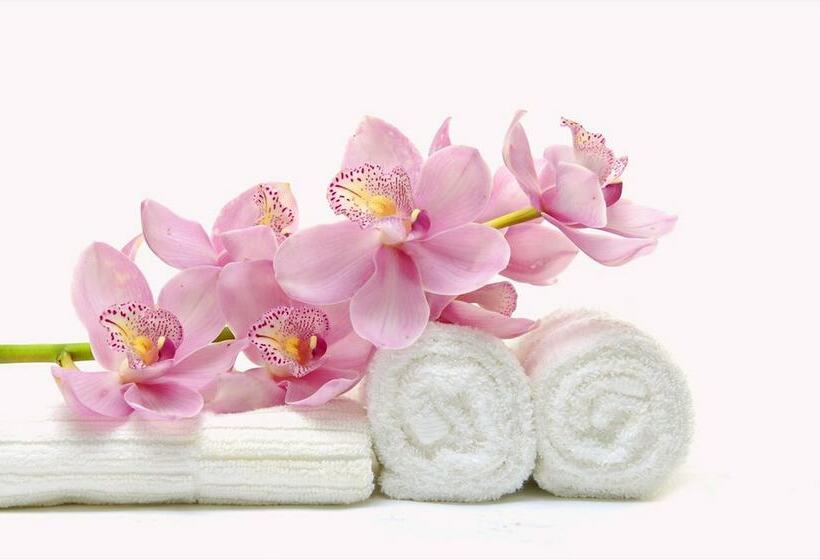 חדר סטנדרט לשלושה, Bettina