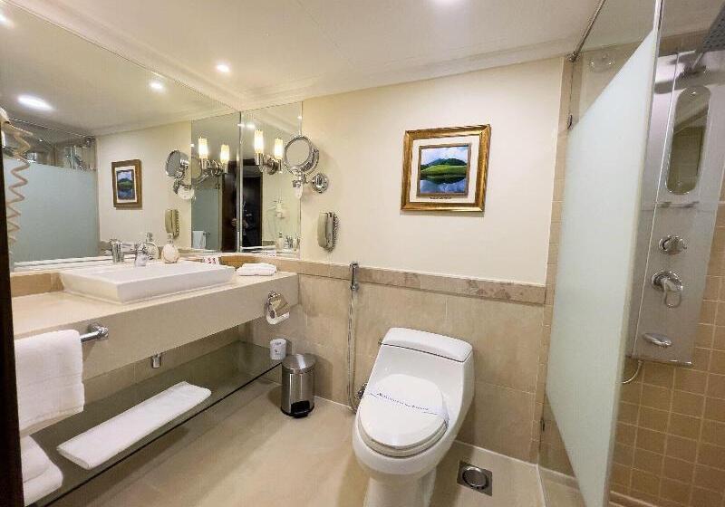 豪华房间, Candeo Hotels Fukuoka Tenjin