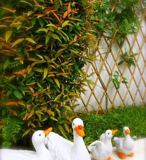 Vila 1 Quarto Vista jardim, Costa Village Pool Villa