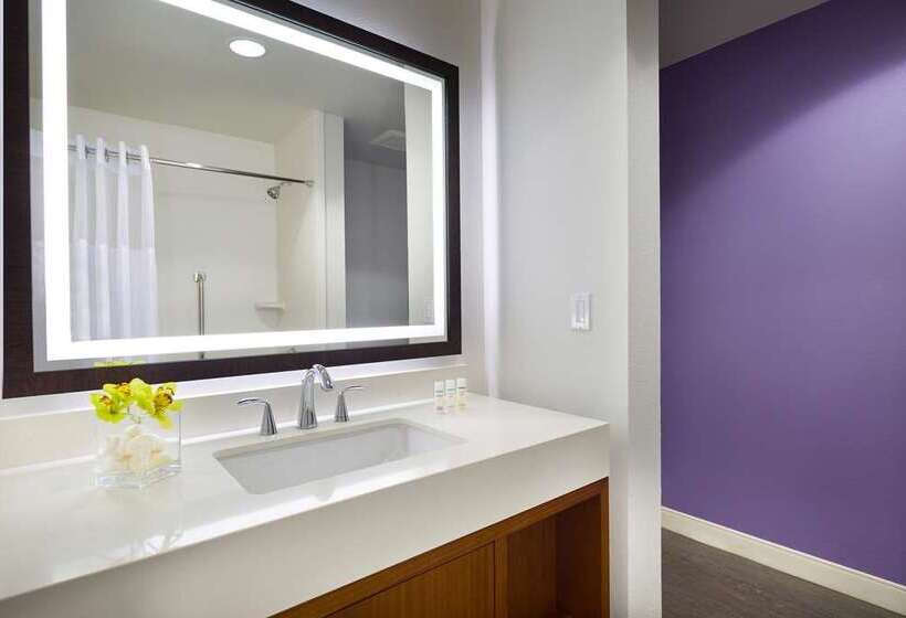 스탠다드 룸 킹사이즈 침대, Hilton Cleveland Downtown