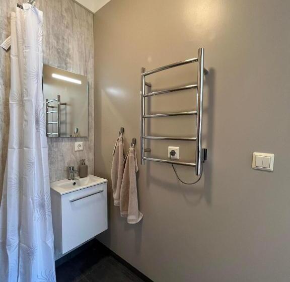 آپارتمان لوکس 1 خوابه, Bergistangi Hostel