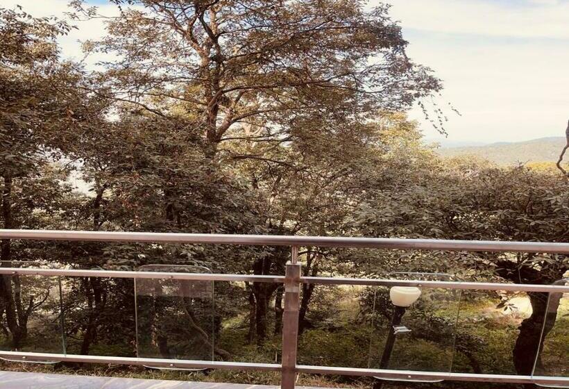 Номер Economy, Binsar Eco Resort, Binsar Uttarakhand