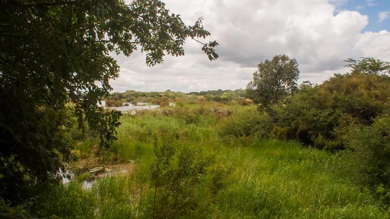 Standard Tent, White Sands Lodge