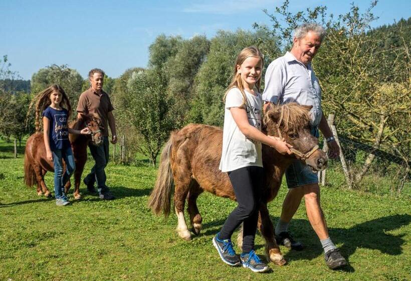 침실 1개 발코니 아파트, Brüglhuberhof