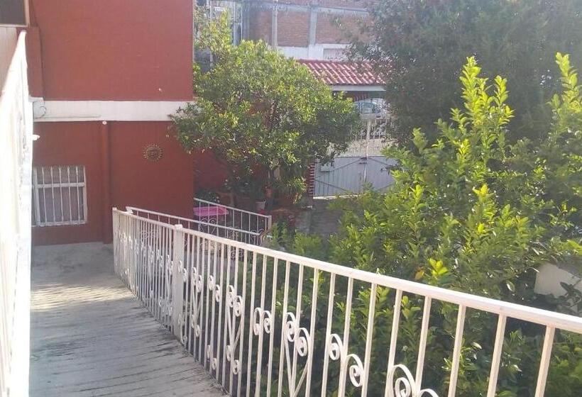 Апартаменты 1 Спальня, Casa Celia