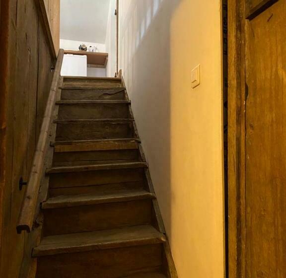 Family Suite, Bachellerie