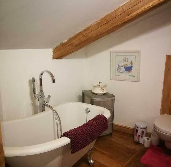 Family Suite, Bachellerie