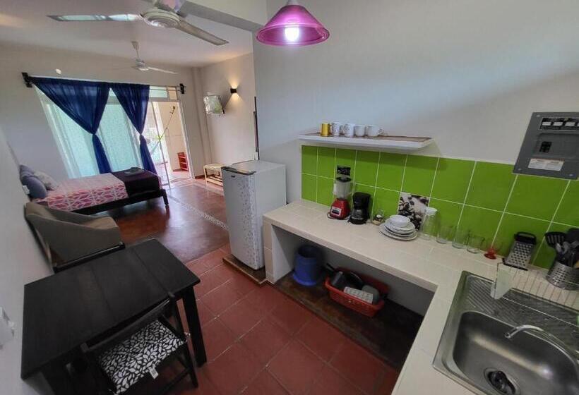 إستوديو قياسى مزودة بتراس, Casa Puerto Bonito & Private Coworking