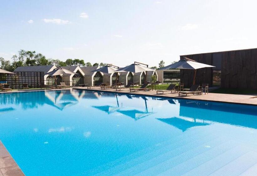 اتاق استاندارد با تخت بزرگ, Castel Mimi Wine Resort