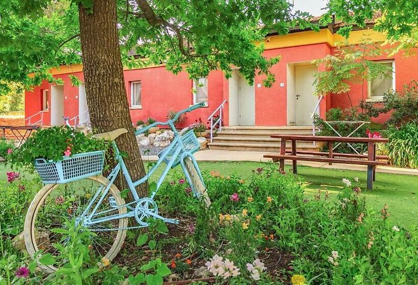 豪华工作室, Serenity In The Mountains