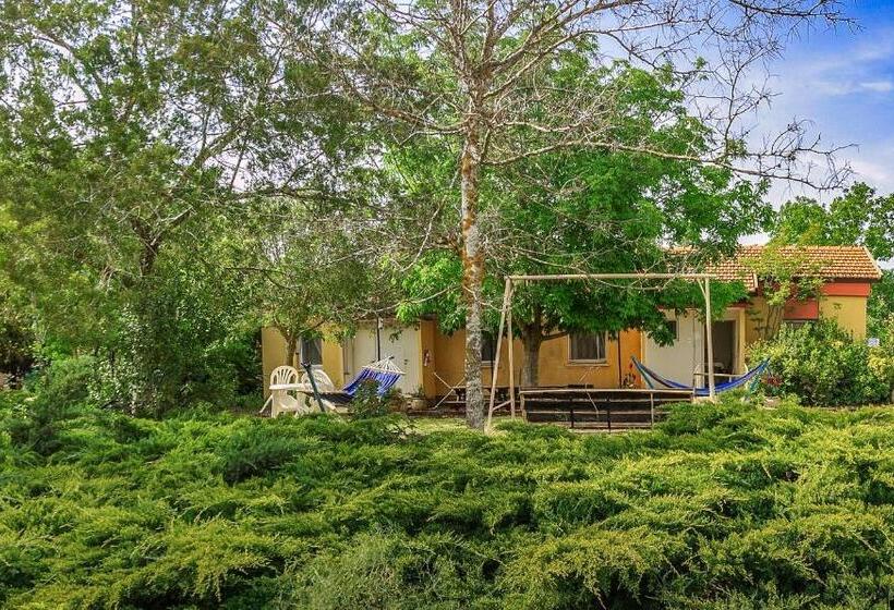 家庭工作室, Serenity In The Mountains