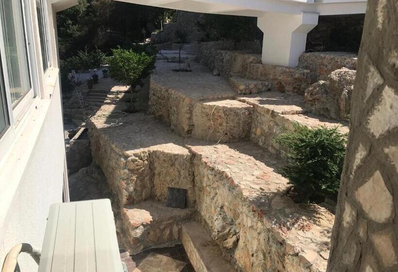 اتاق استاندارد با چشمانداز باغ, Novalic