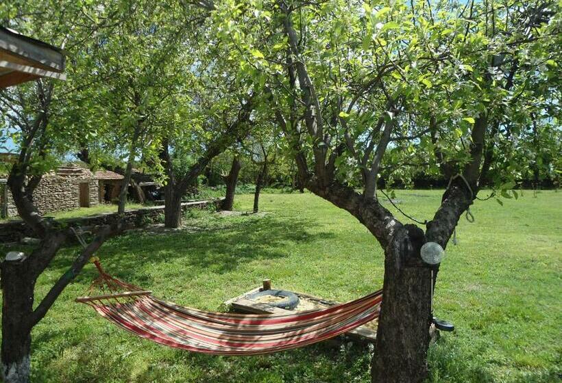 スーペリアの4人部屋, Granichar 2 Boats