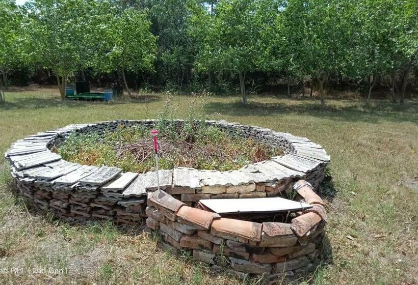 スーペリアの4人部屋, Granichar 2 Boats