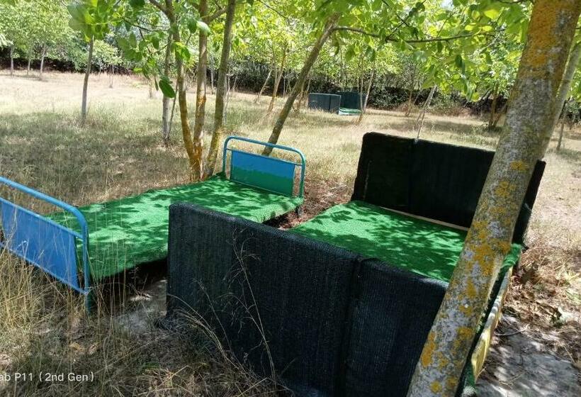 スーペリアの4人部屋, Granichar 2 Boats