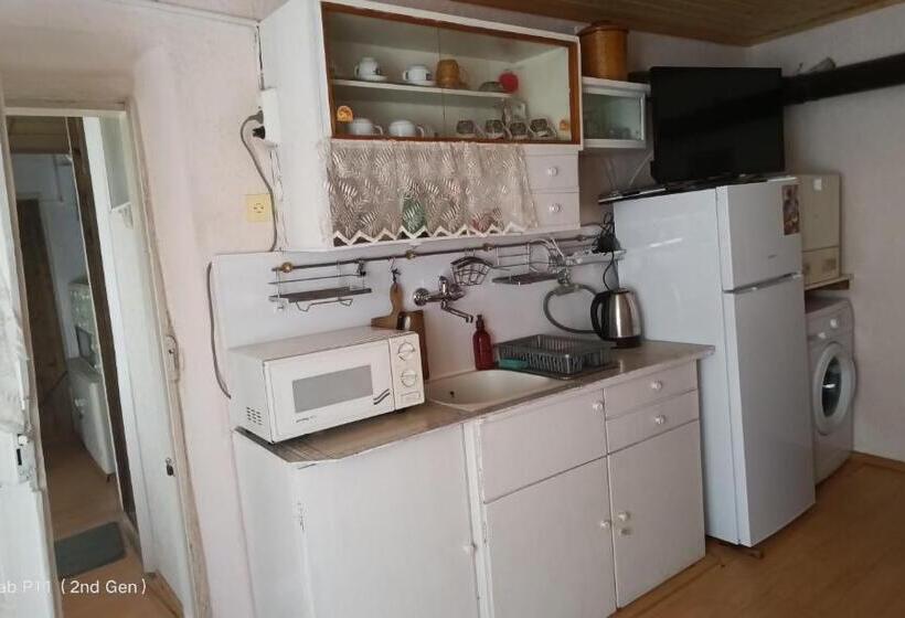 スーペリアの4人部屋, Granichar 2 Boats