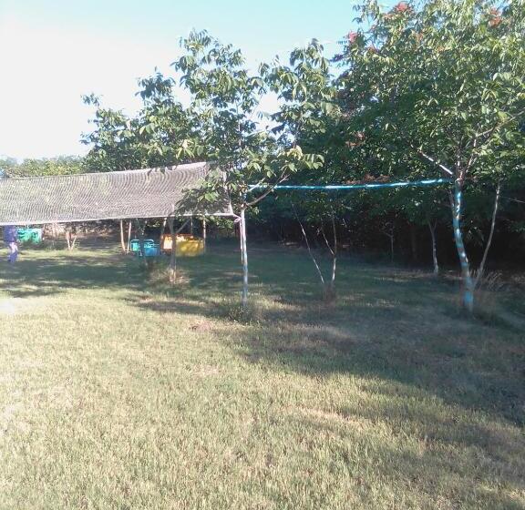 四人高级间, Granichar 2 Boats