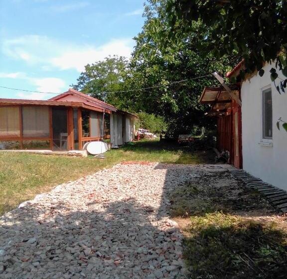 豪华工作室, Granichar 2 Boats