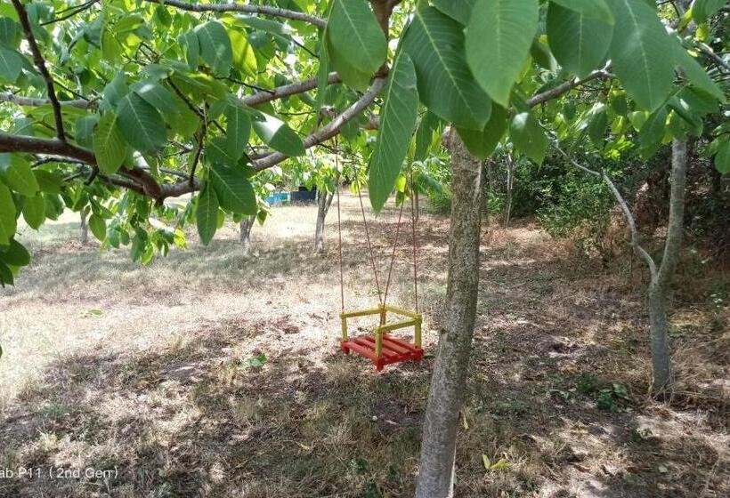 デラックススタジオ, Granichar 2 Boats