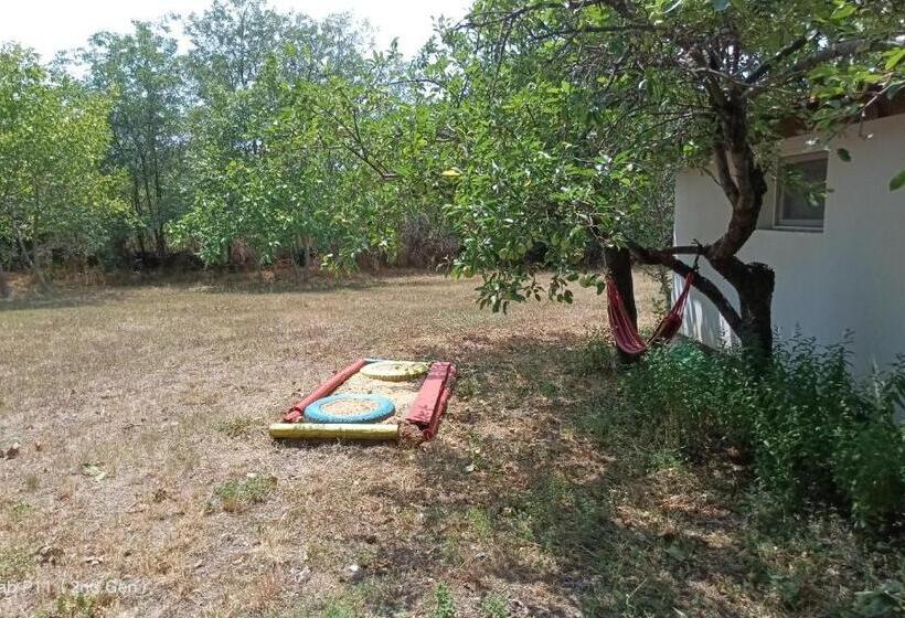 デラックススタジオ, Granichar 2 Boats