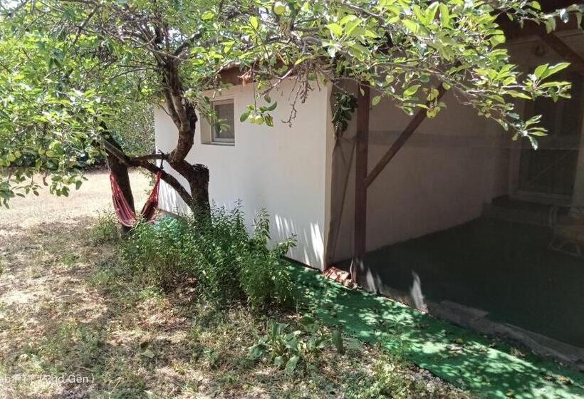 デラックススタジオ, Granichar 2 Boats