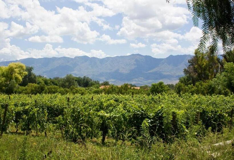 اتاق استاندارد سه تخته با سرویس بهداشتی مشترک, Hostería   Bodega Valle Divino