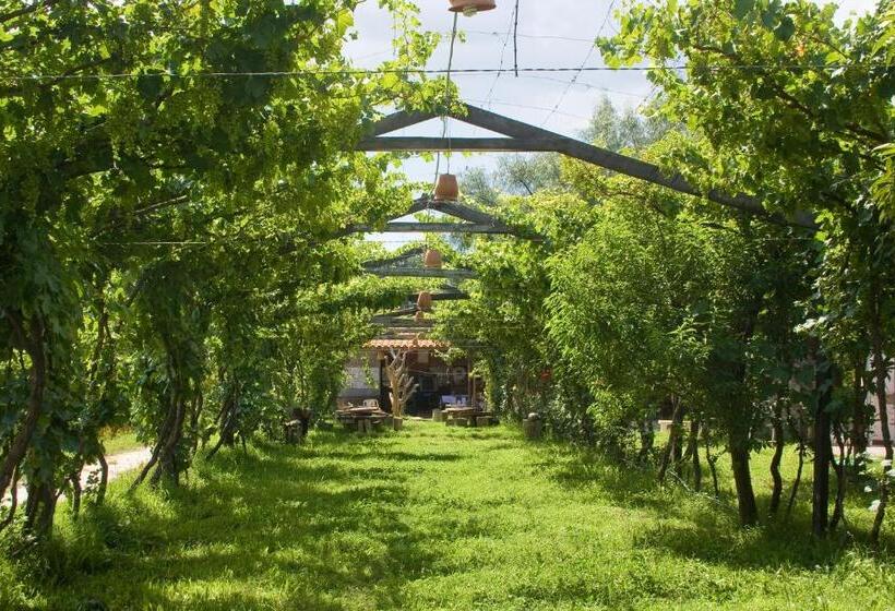 اتاق استاندارد چهارنفره با سرویس بهداشتی مشترک, Hostería   Bodega Valle Divino