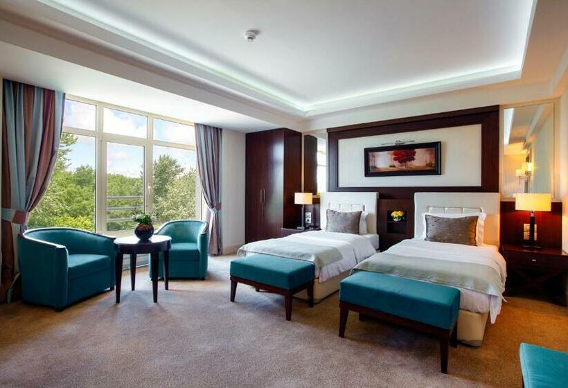 اتاق سوپریور, Gabala Yengice Thermal Resort