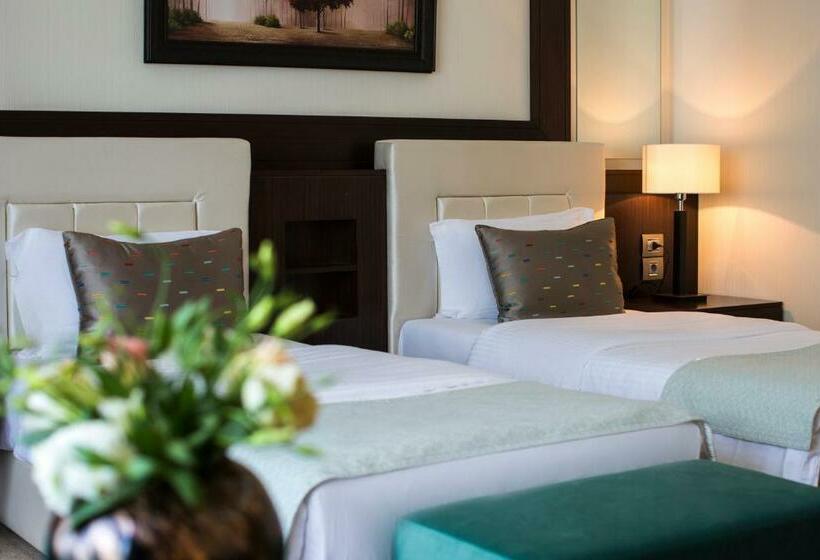 اتاق سوپریور, Gabala Yengice Thermal Resort