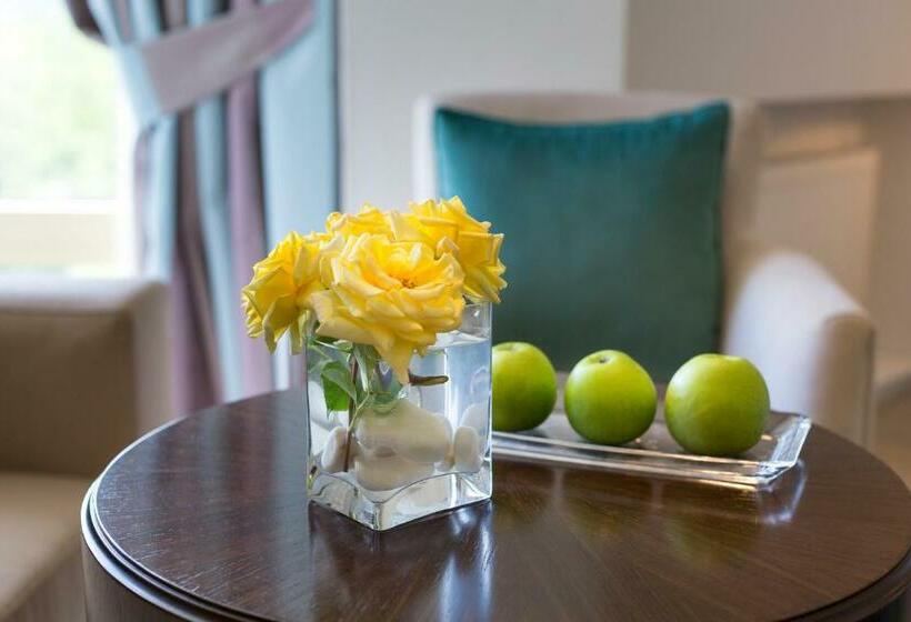 اتاق سوپریور, Gabala Yengice Thermal Resort