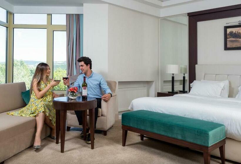 اتاق سوپریور, Gabala Yengice Thermal Resort