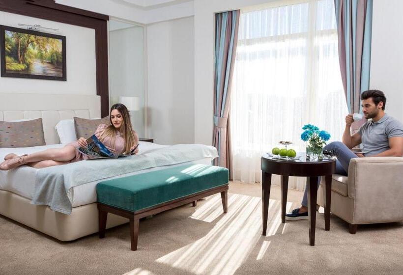 اتاق سوپریور, Gabala Yengice Thermal Resort