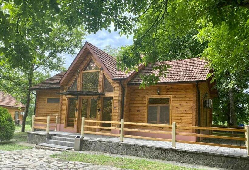 ویلای 1 خوابه, Gabala Yengice Thermal Resort